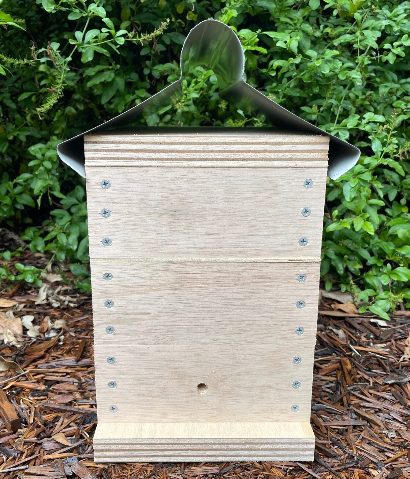 Native Bee Hive - Image 3
