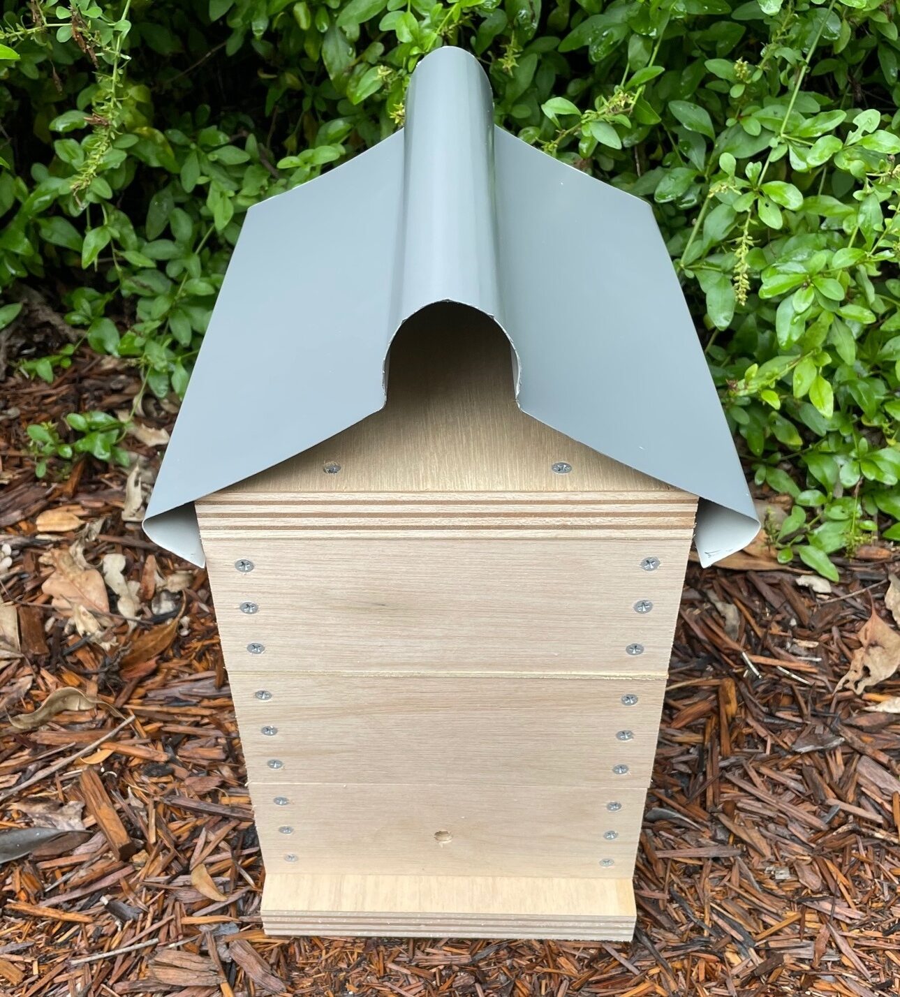 Native Bee Hive - Image 6