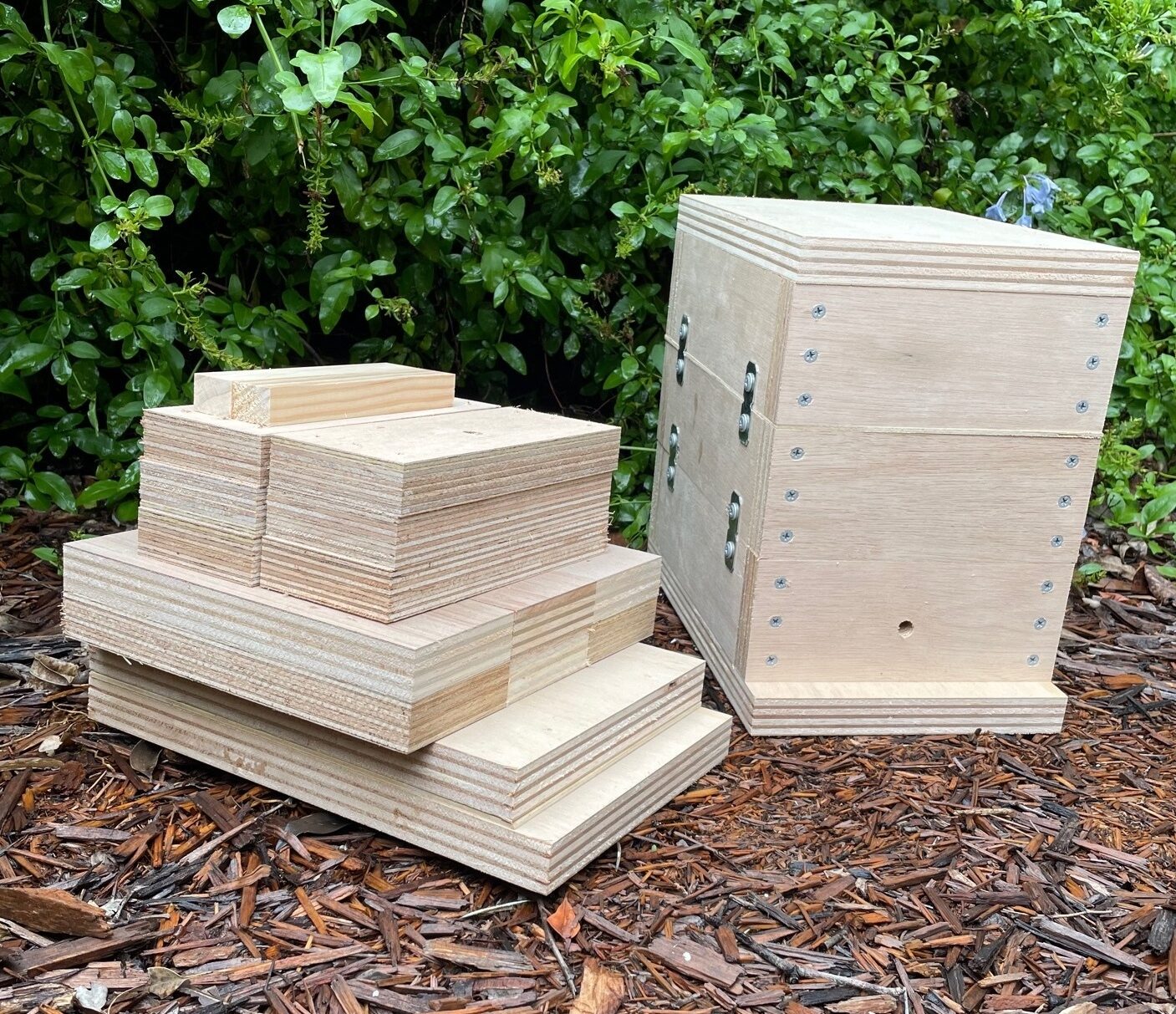 Native Bee Hive - Image 32