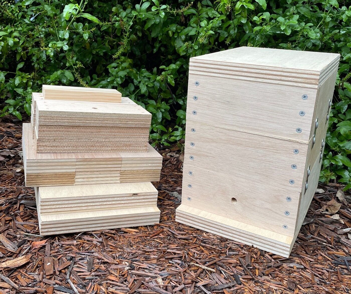Native Bee Hive - Image 33