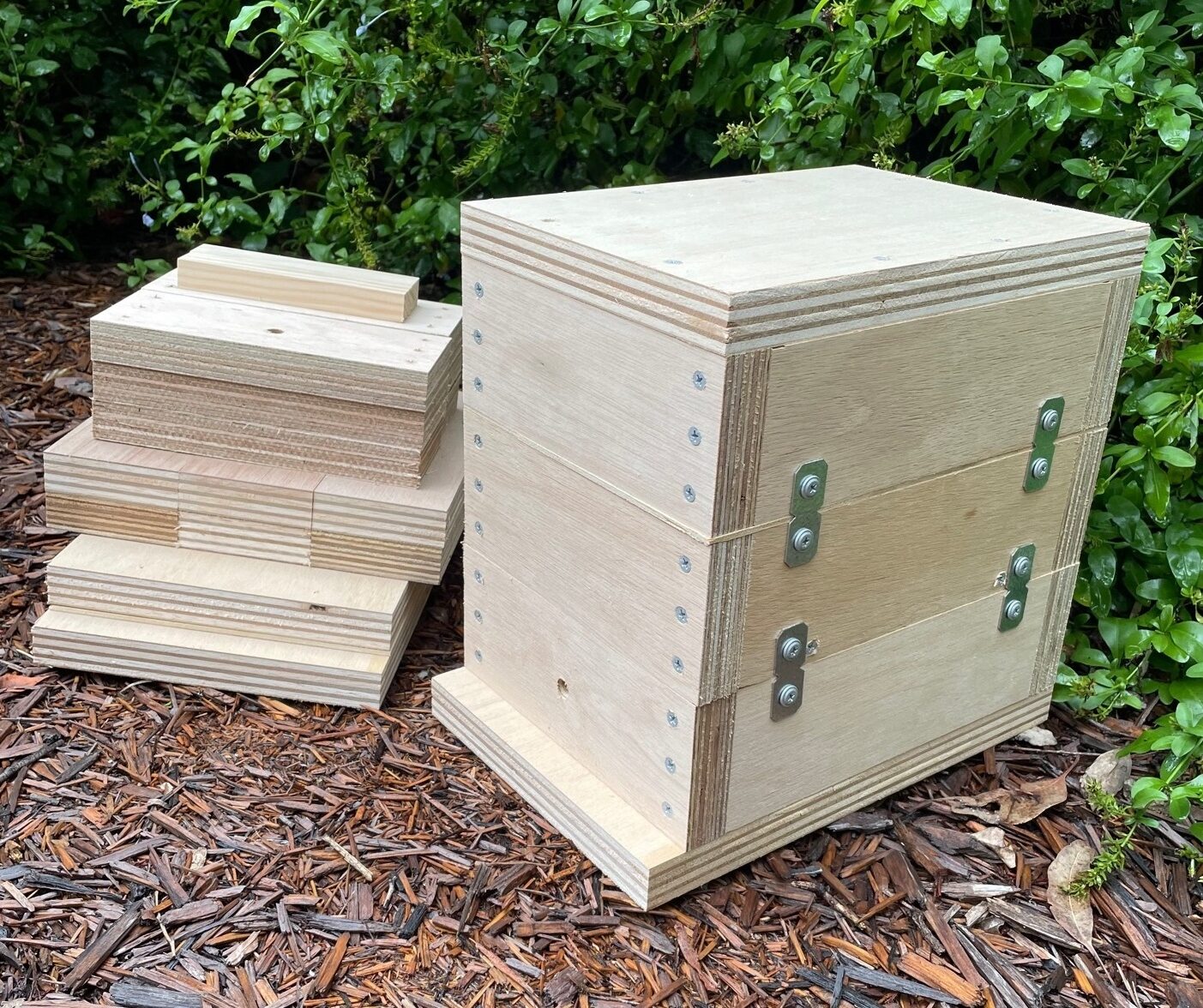 Native Bee Hive - Image 37
