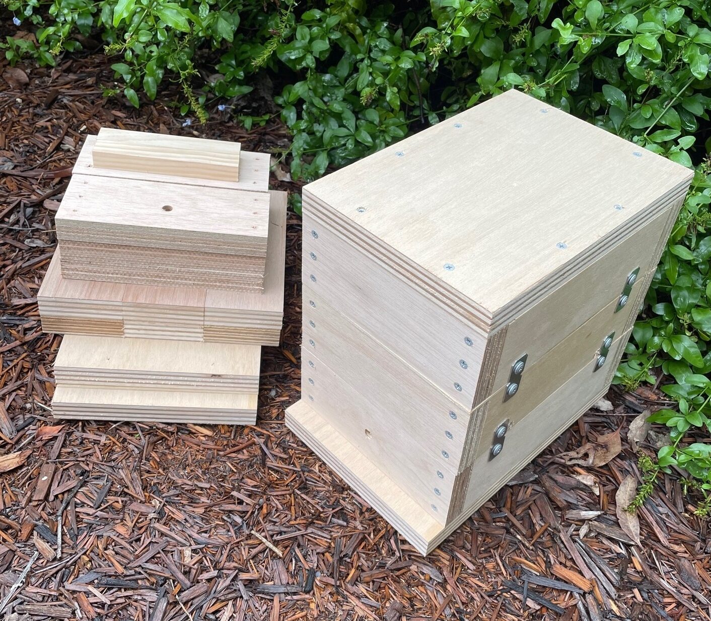 Native Bee Hive - Image 34