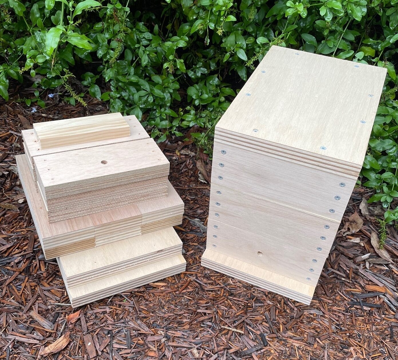 Native Bee Hive - Image 36