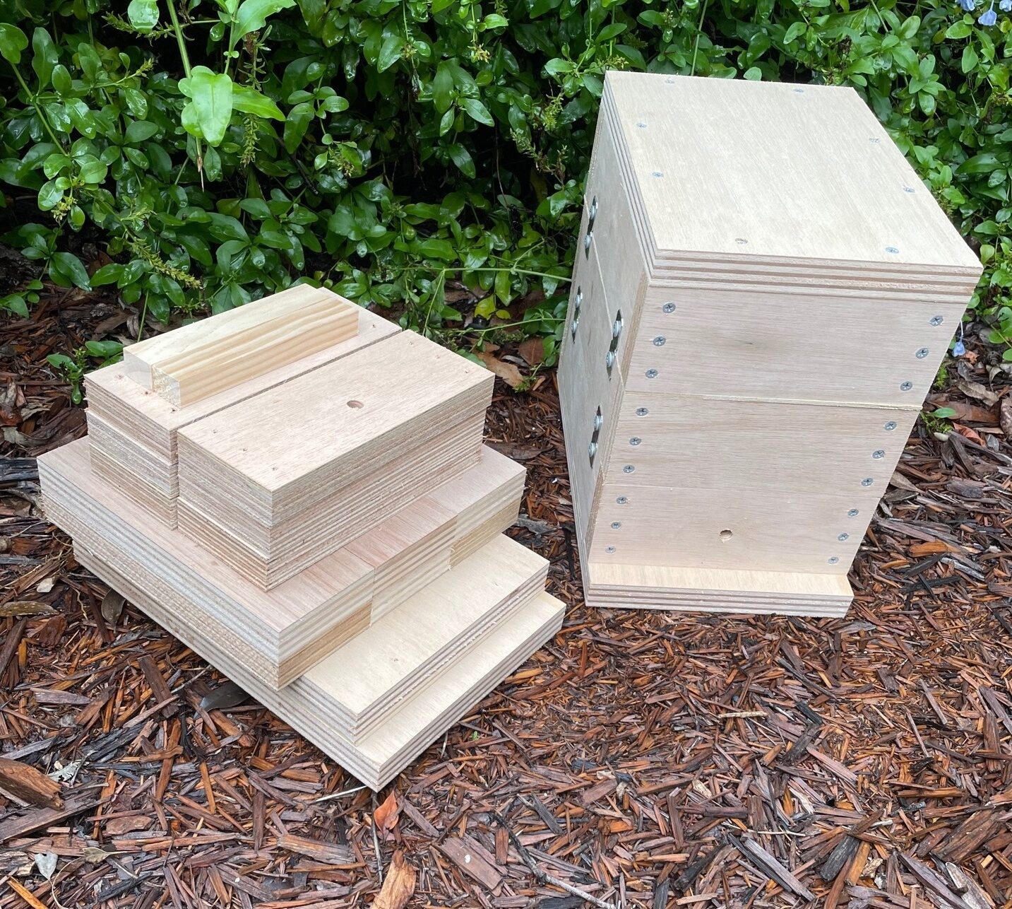 Native Bee Hive - Image 35