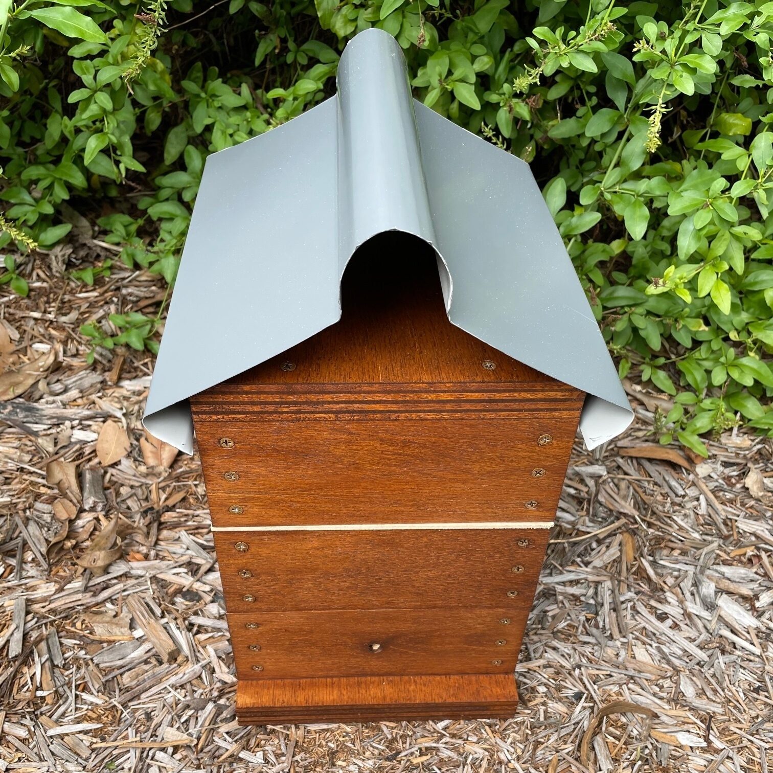 Native Bee Hive - Image 24