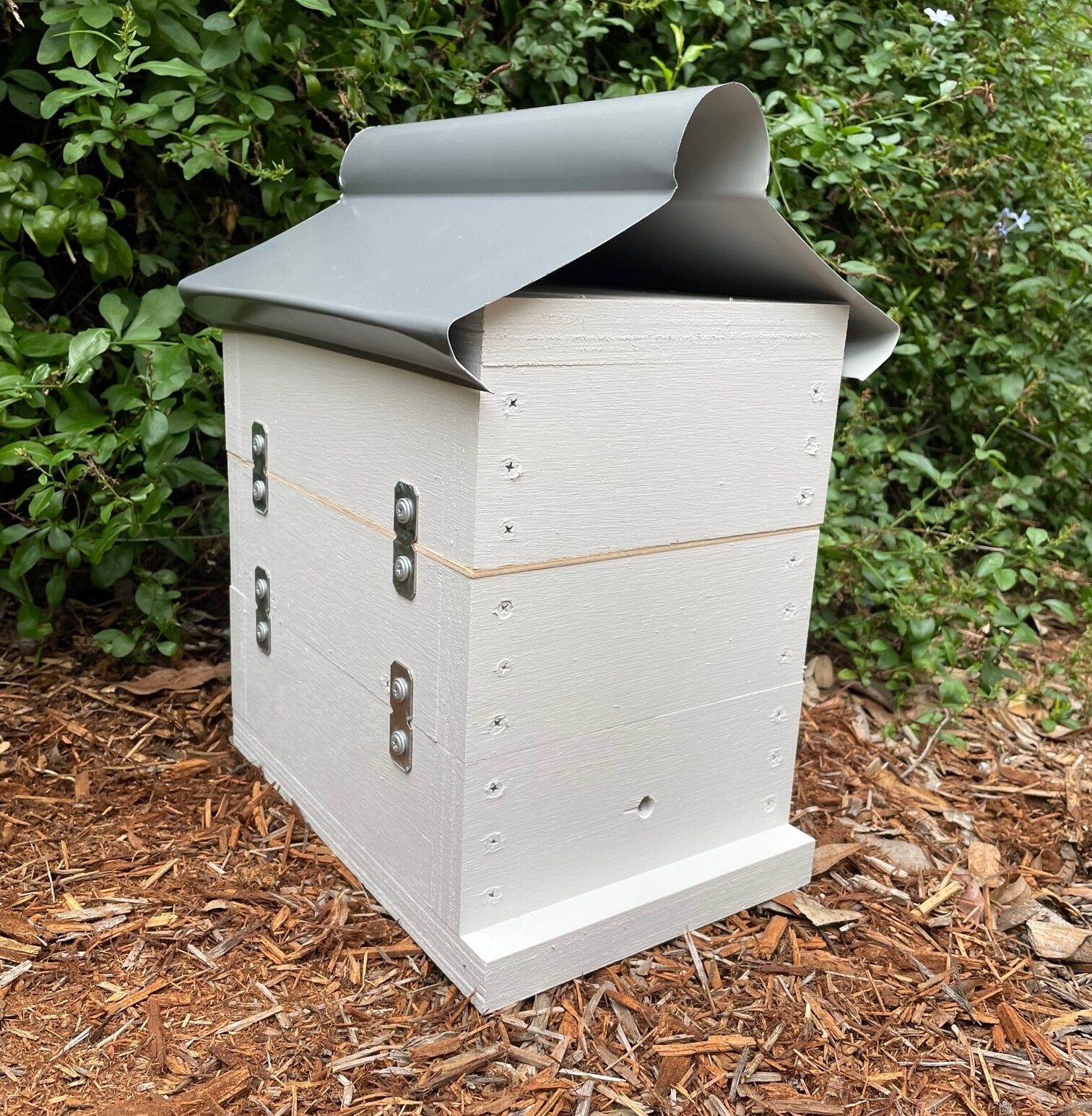Native Bee Hive - Image 14