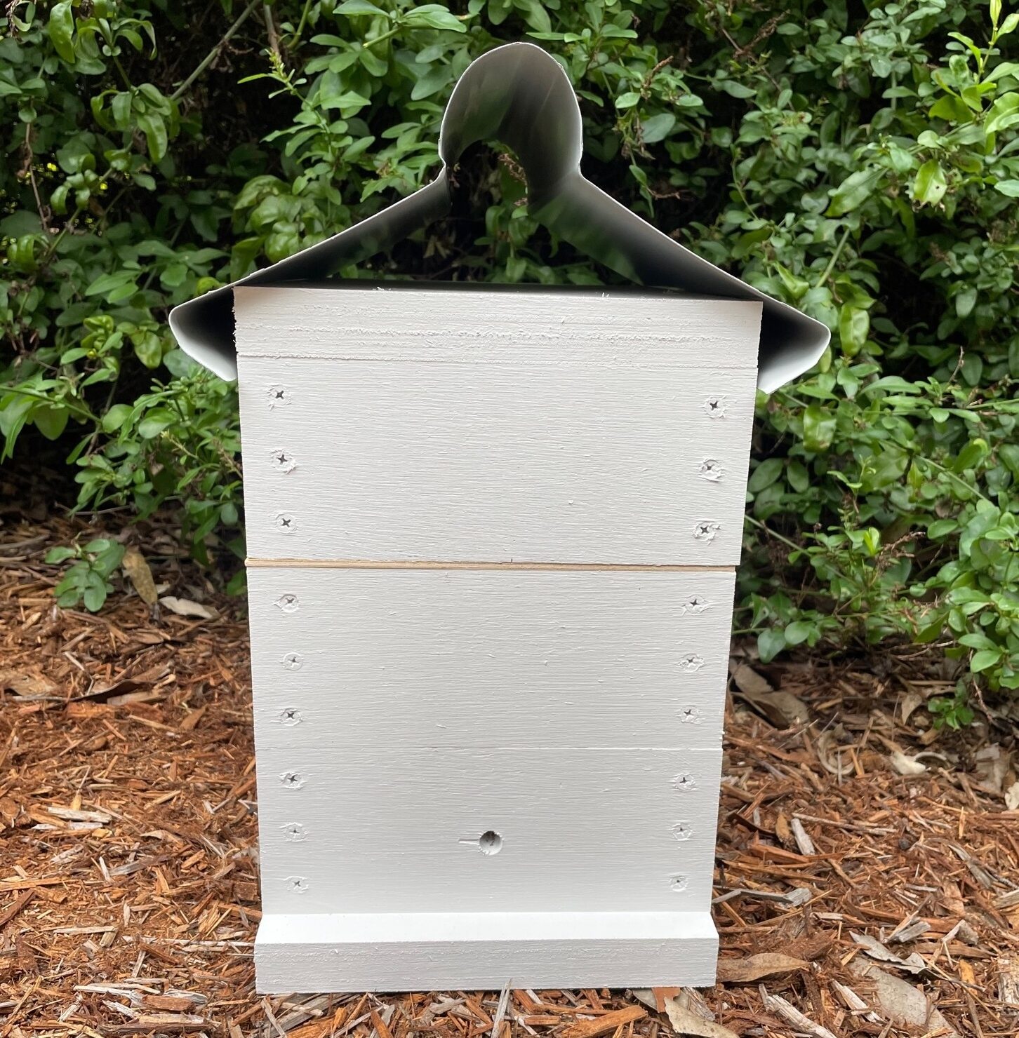 Native Bee Hive - Image 15