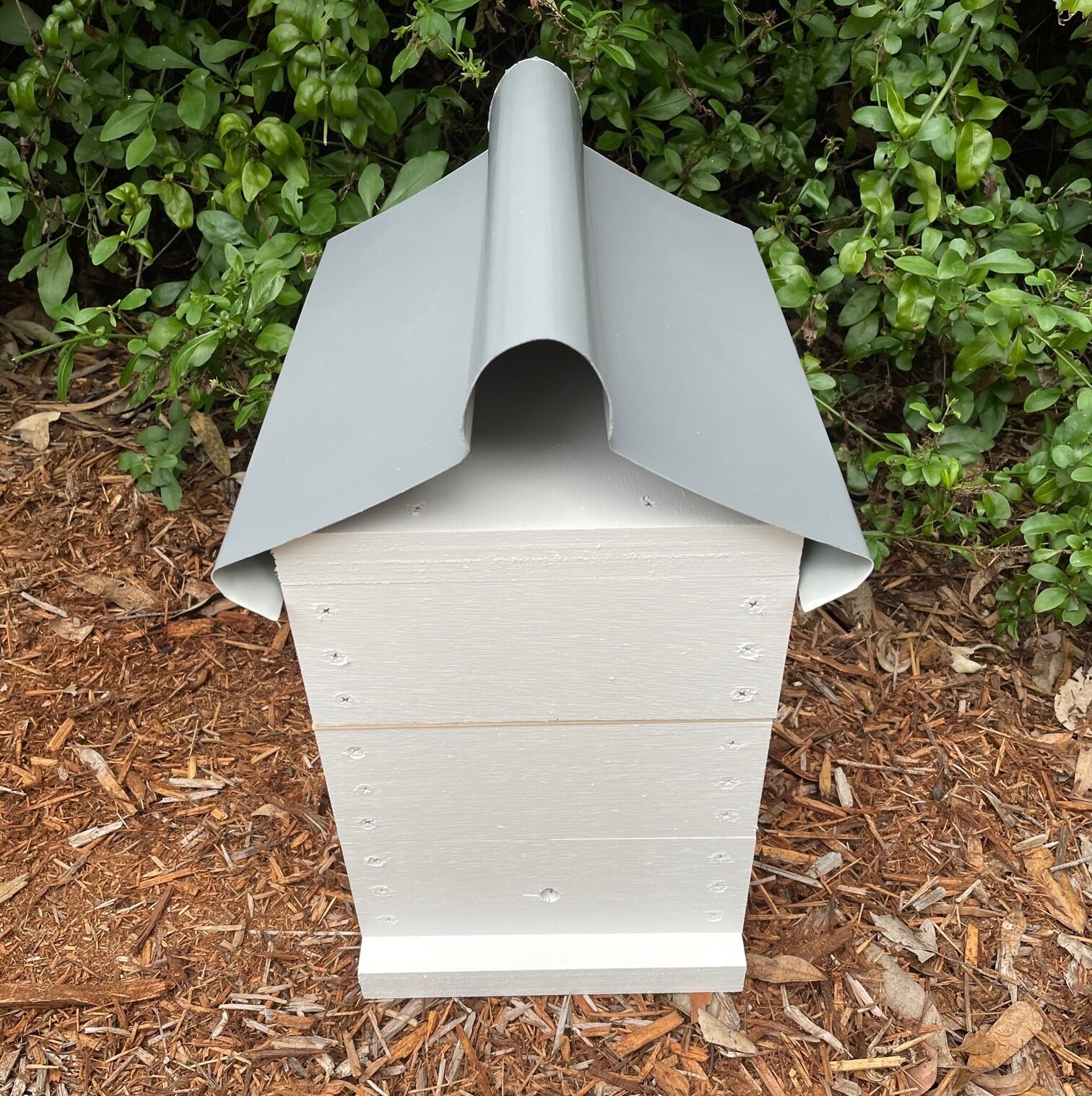 Native Bee Hive - Image 18