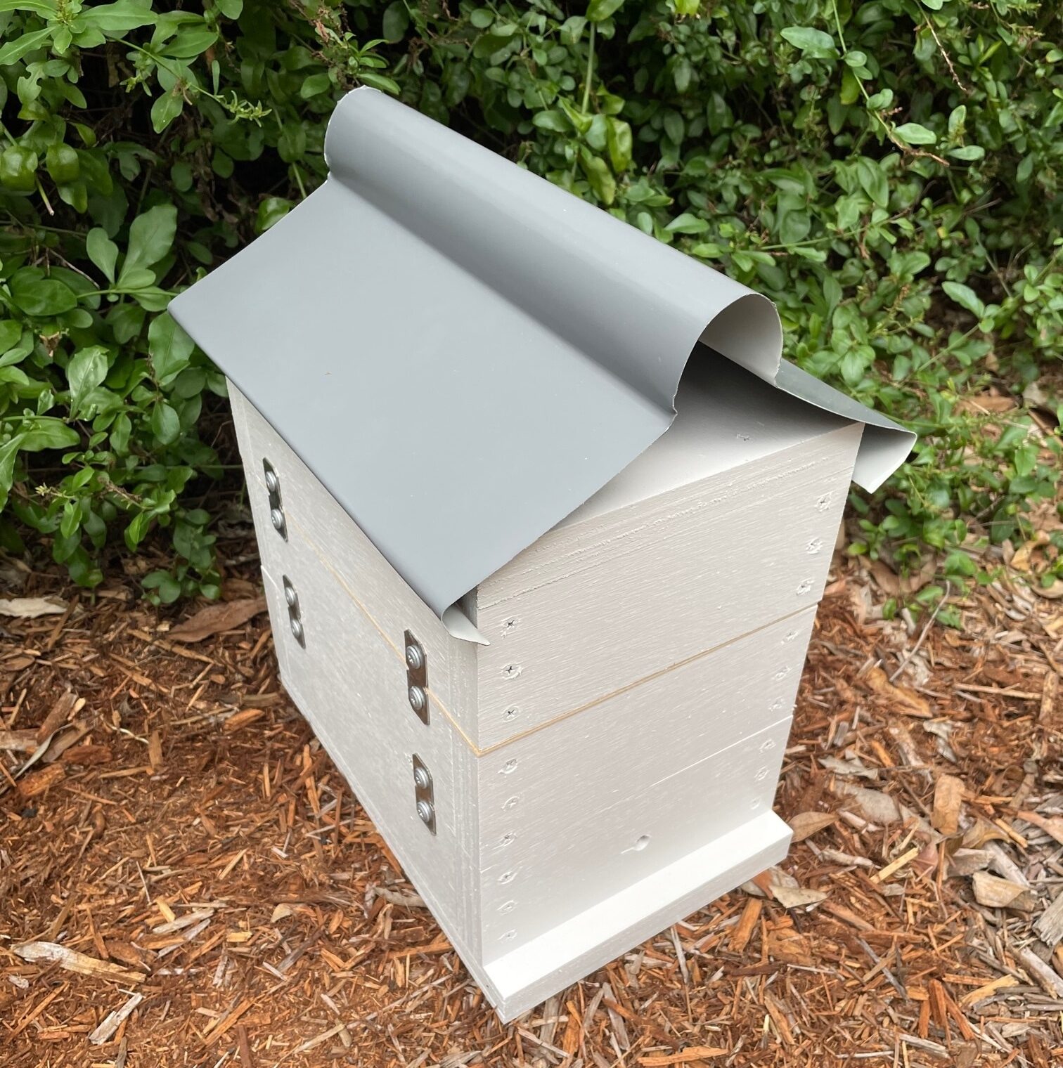 Native Bee Hive - Image 17
