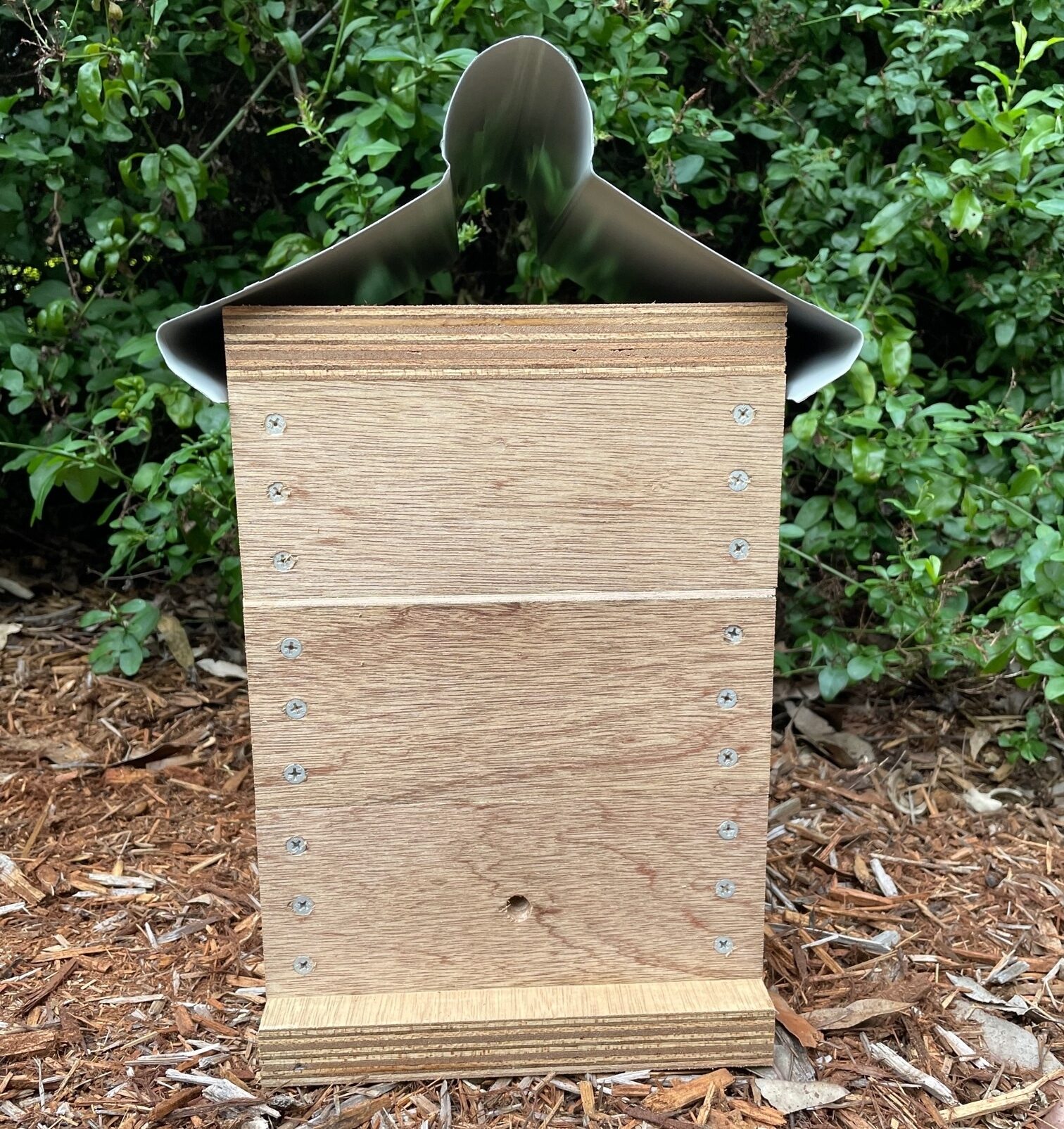 Native Bee Hive - Image 9