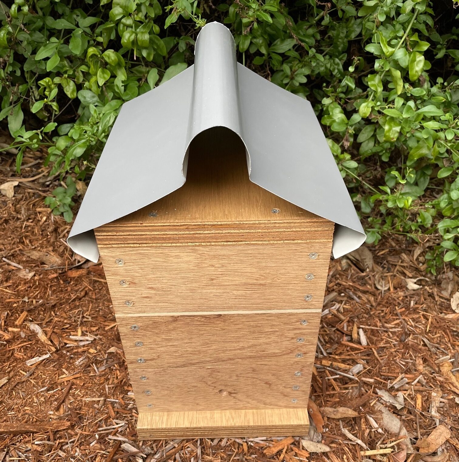 Native Bee Hive - Image 12