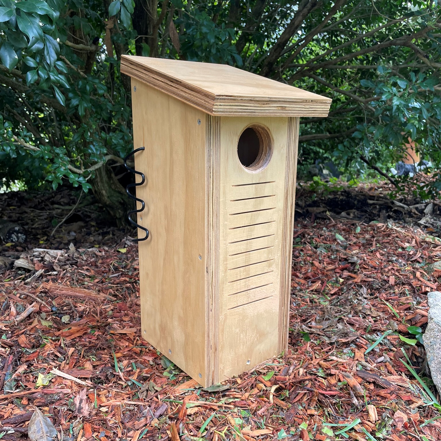 Varished Small Parrot Nest Box – Rainbow Lorikeet Red-Rumped Parrot Treecreeper