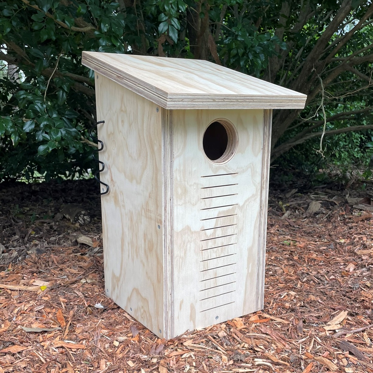 Ringtail Possum Bare Timber Nest Box