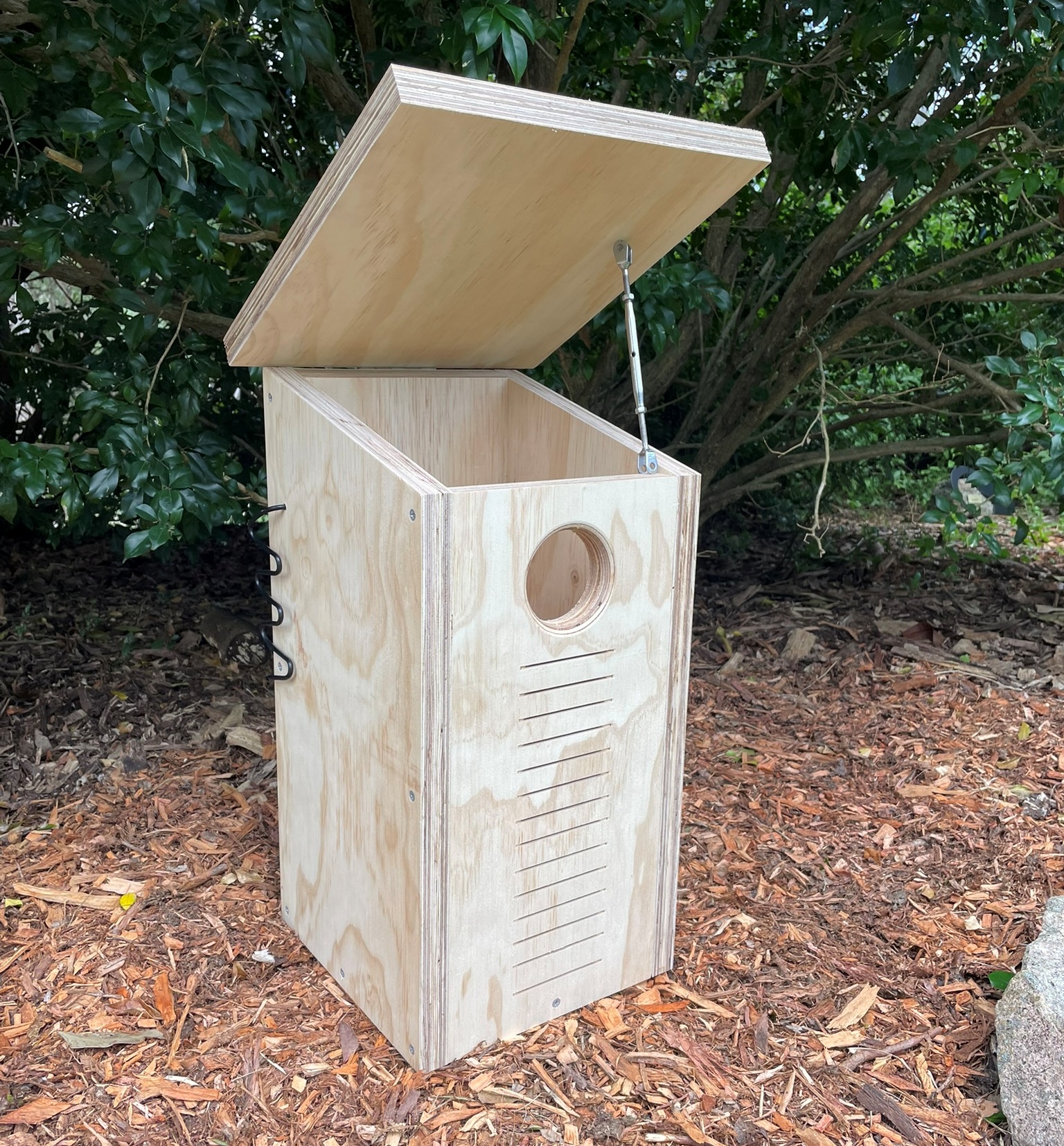 Ringtail Possum Bare Timber Nest Box