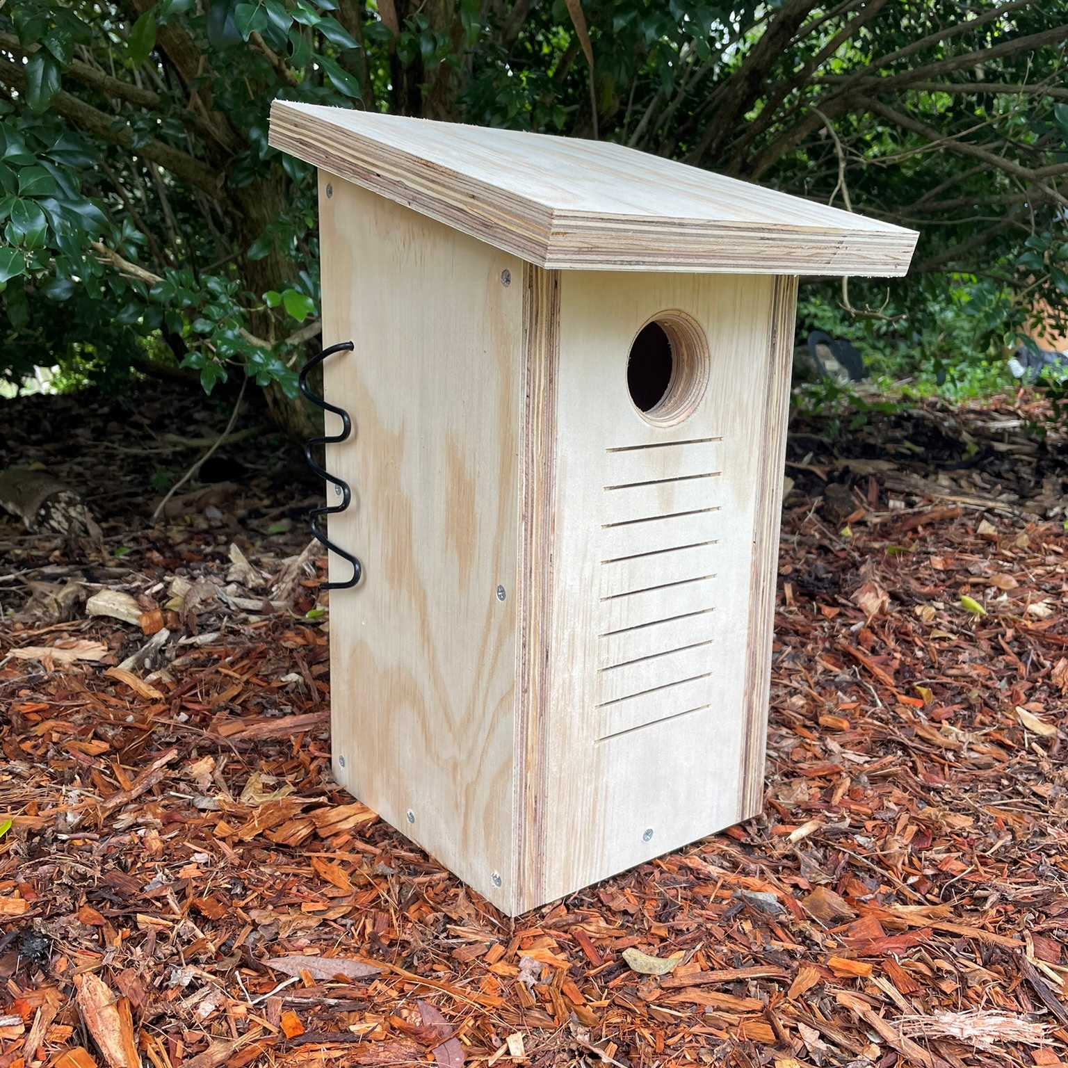 Front Entry Sugar Glider Squirrel Glider