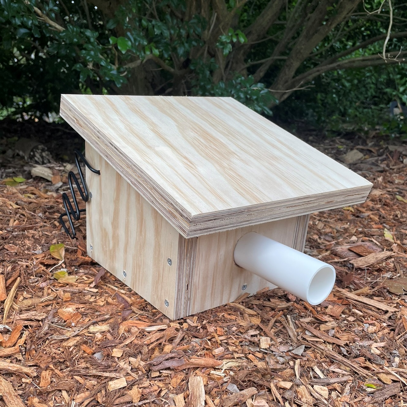 Pardalote Nest Box Bare Timber Striated Pardalote Spotted Pardalote Nesting Box