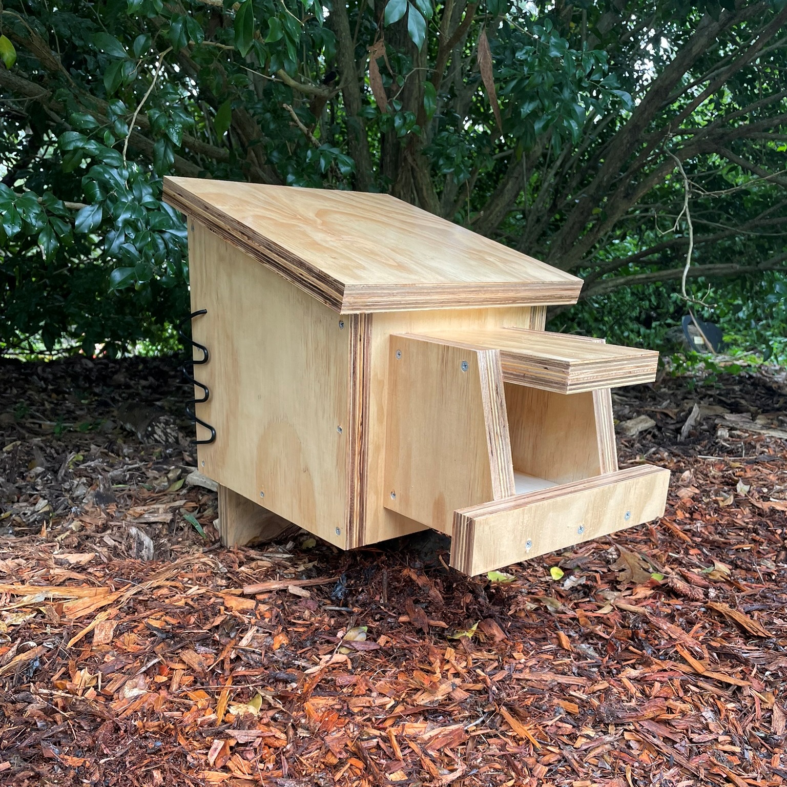 Laughing Kookaburra Nest Box Clear Coat Blue-winged Kookaburra Nesting Box